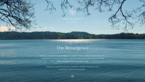 Langdale Chase website design - by thefabl.com